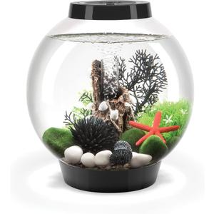 biOrb Classic 15 Acrylic 4-Gallon Aquarium with White LED Lights Modern Compact Tank for Tabletop or Desktop Display, Black-Trimmed Tank