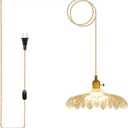 Plug in Pendant Light, 14Ft Cord Clear Glass Shade Hanging Light, Industrial Pendant Light for Dinning Room On/Off Switch Hanging Lamp Plug in, Bedroom and Kitchen Island