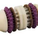 PetSafe Busy Buddy Bristle Bone Dog Chew Toy - Treat Holding Toothbrush Toy for Hard Chewers - Helps Keep Your Dog's Teeth Clean - Durable, Interactive - Purple, Large