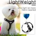 ThinkPet Harness and Leash Set Reflective Breathable Soft Air Mesh No Pull Puppy Choke Free Over Head Vest Ventilation Harness with Leash for Puppy Small Medium Dogs and Cats