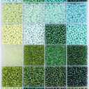 12500pcs John Bead Assorted Glass Seed Beads 8/0, 24 Colors Green Fields Palette Round Bead for DIY Crafts Jewelry Making Bead Box
