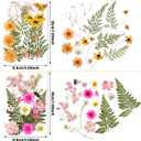 Nuanchu Pressed Flowers for Craft Resin Dried Flower Bulk White Natural Dried Wildflowers Daisy with Tweezer for Resin Mold Candles Cake DIY Mother's Day Craft Card Making Wedding Scrapbooking Supply