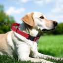 Martingale Collar for Dogs with Quick Release Buckle, Reflective Soft Padded & Escape Proof, Adjustable Nylon Dog Collars for Training & Daily Walking (Red,M)