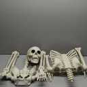 3 Parts Skeleton With Halloween Pumpkin Hat and Spider