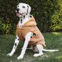 Tuff Pupper Fleece Dog Hoodie Sweater | Teddy Sherpa Outer & Soft Polar Fleece Lining | Adjustable Fit Winter Coat with Hood, Leash Hole, Ribbed Cuffs (Brown, XL)