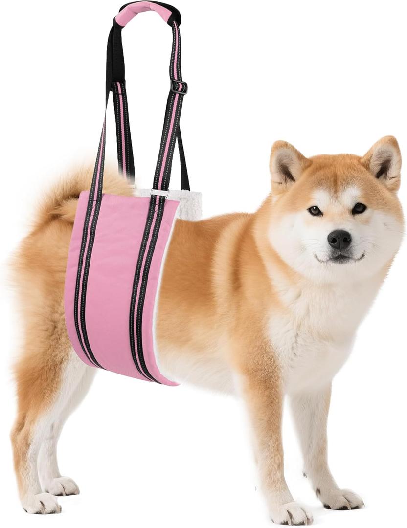 AIITLE Dog Carrier Sling Medium - Hind Leg Support Sling with Hip Padding, Rehab Mobility Aid for Senior/Disabled Dogs, Orthopedic Injury & ACL Surgery Recovery (Pink, M)