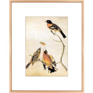 8x10 Picture Frame, Gold Aluminum Metal Photo Frames with HD Glass, Fits 5x7 with Mat or 8 x 10 without Mat, Display for Wall and Table