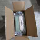 PULA Baby Push Walker with Wheels Toddler Wagon for First Learner Baby Toys 6-12 Months, 1 Year Old Birthday Gifts, Indoors and Outdoors (Green)