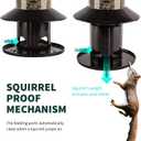 Squirrel-Proof Bird Feeder for Outdoor Hanging Wild Bird Seeds.