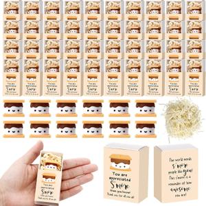 Wettarn 50 Sets Volunteers Appreciation Gifts S'more Gifts Bulk Marshmallow with Box Office Party Favors Thank You Gift Rewards for Teacher Nurse Coworkers Staff Team Employee (Marshmallow)