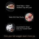 Cesar Classic Loaf in Sauce Adult Wet Dog Food with Duck, Oven Roasted Chicken, Grilled Chicken, and Turkey Recipes, 3.5 oz. Easy Peel Trays, Variety Pack (24 Count, Pack of 1) (EXP 09/30/27)