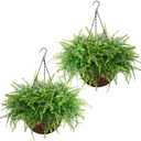 Waipfaru Fake Hanging Fern Plants Outdoor - 2 Pack UV Resistant Artificial Outdoor Hanging Plants, Realistic Faux Greenery Fern for Patio Front Porch Garden Home Decor