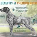 Chicken Soup for the Soul All Natural Premium Small Bites Adult Dry Dog Food, Real Meat First Ingredient, No By-Products, Supports Gut & Immune Health, Beef & Brown Rice, 4.5lb (EXP 12/12/26)