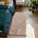 Fluffy Rug Shag Area Rug, Beige 2x4 Area Rugs for Bedroom, Small Bedside Rug, Soft Fluffy Shag Entryway Throw Rugs for Living Room Bedroom Kids Room Home Decor