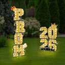 Amyhill 6 Pcs Prom 2026 Yard Signs Party Outdoor Lawn Decorations with Light String Prom Graduation Yard Signs Party Grad Decorations Waterproof Lawn Graduation(Gold and Black)