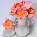 Birthday Gifts for Women 10pcs Pink Orange Flowers PU Real Touch Flowers Hawaiian Plumeria Frangipani Artificial Flowers for DIY Birthday Gifts Wedding Gifts Home Decor Table Centerpiece (806)