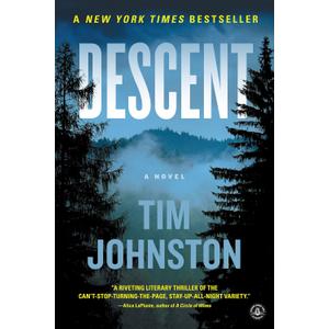 Descent: A Novel