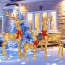3-Piece 2D Lighted Christmas Deer Family Set - HOYECHI Large Outdoor Yard Reindeer Holiday Decoration with 145 LED Lights, Stakes, Zip Ties - Gold