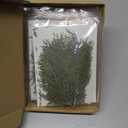 HyDren 150 Pcs Christmas Preserved Real Pine Branches Leaves Greenery Pine Picks Natural Dried Greenery Plants Twigs Wreath Decorations for Christmas Home Decor Indoor Outdoor (4-5 Inches)