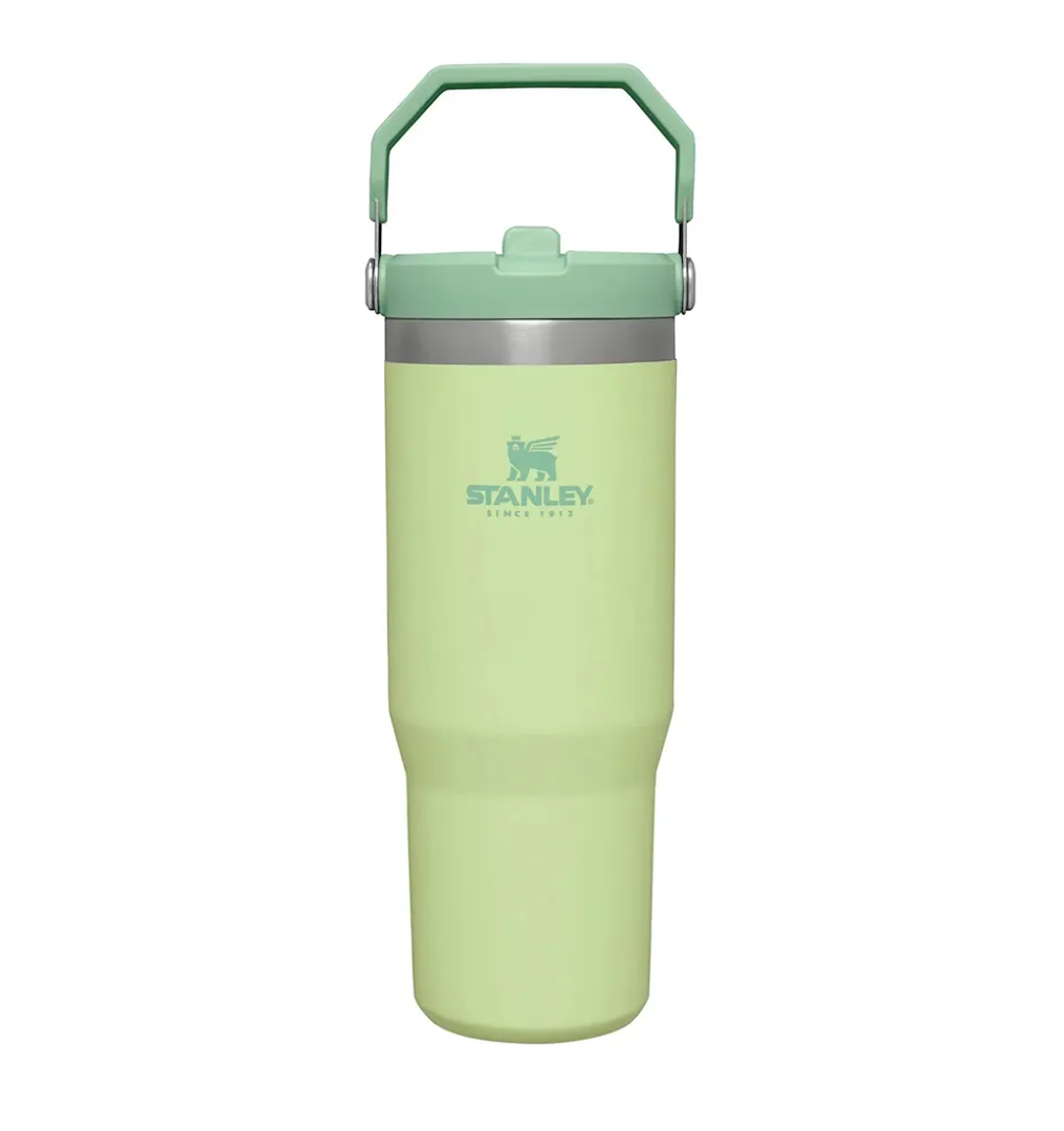 STANLEY IceFlow Stainless Steel Tumbler - Vacuum Insulated Water Bottle for Home, Office or Car Reusable Cup with Straw Leak Resistant Flip Cold for 12 Hours or Iced for 2 Days