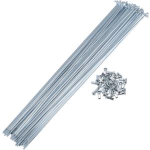 1 Set Bicycle Spokes 12G 290mm Length Bike Wheel Spokes Universal Carbon Steel Galvanized Silver Tone Nipple