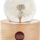 DESHINTKE Real Dandelion Specimen with Wood Round Base Paperweight Desktop Decor Decoration (Style2)