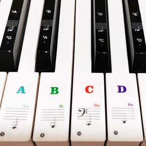 Piano Keyboard Stickers for 88/61/54/49/37 Key, Bold Large Letter Piano Stickers for Learning, Removable Piano Keyboard Letters, Notes Label for Beginners and Kids