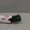 12 PCS Dried Eucalyptus Stems for Shower - 17" Preserved Eucalyptus Stems Shower Plant, Fresh Real Eucalyptus Leaves for Shower Hanging, Home Decor, Dried Flowers