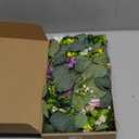 2 Pack 5.68 FT Artificial Daisy Garland with 3D Butterfly, Hanging Fake Flowers Greenery Eucalyptus Garland Floral Vines for Wedding Table Home Room Spring Summer Decor