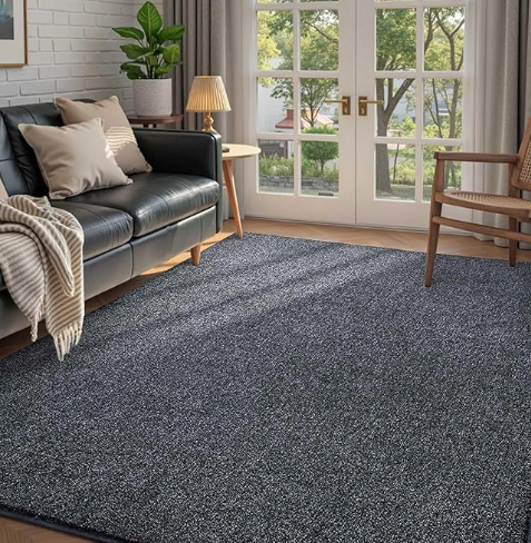 FinRèc 4x6 Washable Area Rugs for Bedroom Living Room, Low Pile Thin Rug Solid Color, Non-Slip Carpet Indoor for Home Decor (Grey)