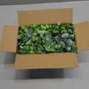 DearHouse Faux Eucalyptus Garland Plant, 2 Pack Artificial Vines Hanging Eucalyptus Leaves Greenery Garland for Wedding Backdrop Arch Wall Decor, 6 Feet/pcs UV Protected Indoor Outdoor