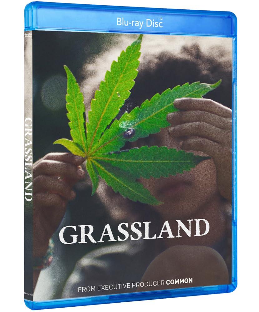 Grassland