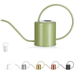 Plant Watering Can, 50 oz / 1500 ml Stainless Steel Metal - Modern Decorative with Long Spout for Indoor Potted Plants, Bonsai, Garden Flowers, Saga Green