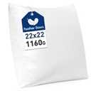 MIULEE Premium Feather and Down 22x22 Throw Pillow Insert Soft Fluffy Throw Pillow Double-Layer Cotton Fabric for Sofa Bed Couch Prevents Feather Leakage