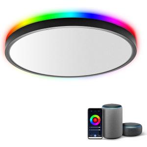 TALOYA Smart Ceiling Light Flush Mount LED WiFi, Compatible with Alexa Google Home, Black Dimmable Low Profile Ambient Light Fixture for Bedroom Living Room, 12 Inch 24W