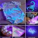 2 x 365nm UV Flashlights Rechargeable, Blacklight with USB-C Cord for Pet Urine, Resin Curing, Carpet Stains, Scorpions, and Bed Bug Inspection