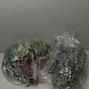 2 Kinds Mixed Eucalyptus Leaves Stems Bulk Artificial Silver Dollar Leaves for Wedding Vase Bouquet Floral Arrangement (Green)