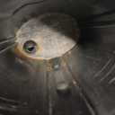 Aquarium Internal Filter for 3 to 20 Gallons Small Fish Tank Turtle Tank Reptiles Shrimp Amphibian Frog Cichlids Newt(Aquarium filter)