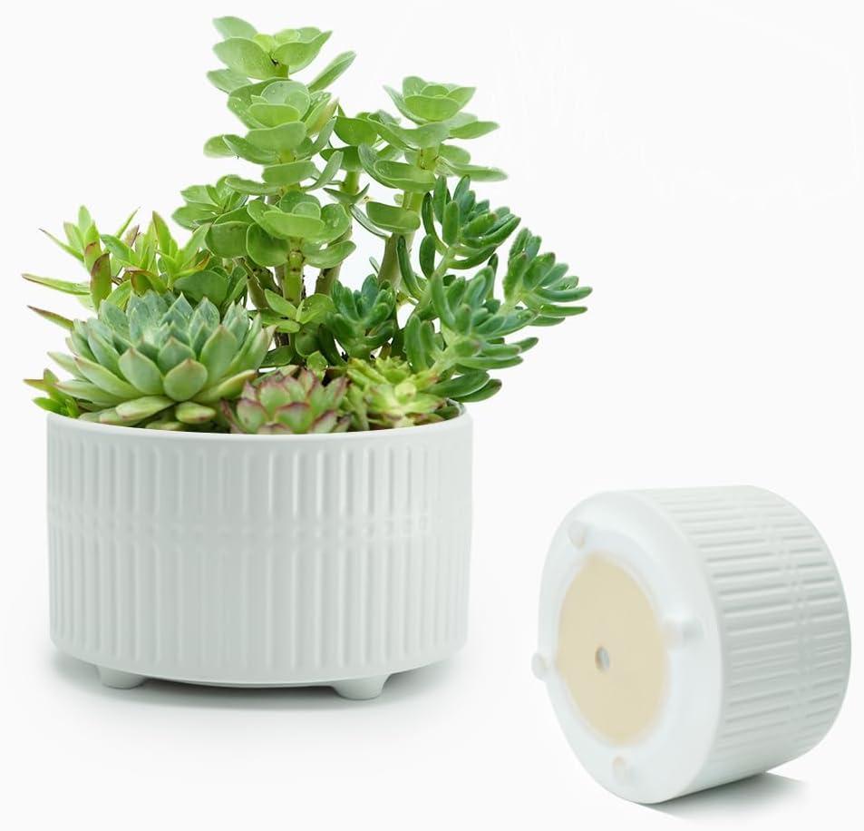 Plant Pots Indoor with Drainage Hole and Mesh Cricle,Elegant Round White Ceramic Pots for Succulents Plants, Diameter 6.5/8 Inches Large Flower Planters Set of 2