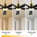 ELEHINSER 60" Modern Ceiling Fan with Light and Remote Control, 5 Solid Wood Blades 6-Speed Noiseless Reversible DC Motor, Ceiling Fan for Bedroom Dinning Living Room, Gold Finish with Black Blades