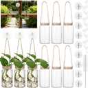 Baderke 9 Sets Window Hanging Propagation Stations 3.54'' Plastic Propagation Vases with Suction Cup & Traceless Nail, Propagated Plant Holder Wall Jars for Office Home Garden Decoration Lover Gift