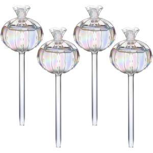 Glass Plant Watering Device Pomegranates Self Watering Planter Insert Glass Automatic Plant Waterer For Garden