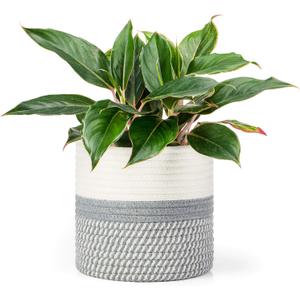 Dahey Jute Cotton Rope Plant Basket Mini Woven Storage Basket for Up to 7" Planter, Decorative Flower Pot Cover Closet Storage Bin Table Desk Organizer Modern Home Decor, Grey (Grey and White)