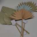 Spring Summer Declaration, 5 Pack