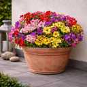 Artificial Flowers for Outdoors, 8 Bundles Faux Silk Spring Flowers for Outside for Planter Front Door Porch Yard Patio Window Box Home Decor