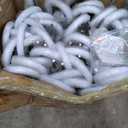 Wedding Favors for Guest Umbrella Gifts Bulk 52 Inch Large Dome Rain Windproof Stick Umbrellas with Thank You Tags and Rope Guest Souvenirs for Wedding Party Bridal Favors (White, 24 Pieces)