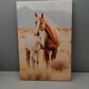 Farmhouse Horse Canvas Wall Art Country Style Colt Wall Decor Pictures Modern Farm West Animal Poster Painting Print for Living Room Bedroom Office Artwork Home Decoration 16x24in Framed