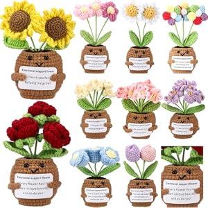 Suncalla 10 Pcs Crochet Flowers Appreciation Positive Gift Bulk Handmade Knitted Flowers with Positive Quotes for Mother Day Employee Coworkers Teacher Gifts and Office Desk Decor(Multiple)