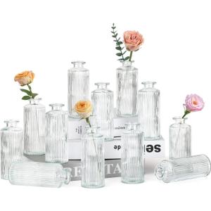 12PCS Mini Bud Vases As Vertical Wedding Centerpieces for Tables,Clear Bud Vases for Flowers,Small Flower Vases Suitable for Birthday Party,Anniversary,Wedding,Baby Shower (Clear-5.2in)