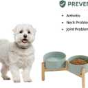 Havniva Ceramic 6.1inch Raised Dog Bowl with Stand for Small and Medium Breed Dog Dish Pet Food and Water Bowl (Double Bowl with Stand - Light Green, 28oz)